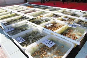 南澳海鮮餐廳推新模式 取消加工費(fèi)，強(qiáng)化銷(xiāo)售品質(zhì)承諾